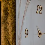 Alvi 2*