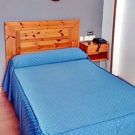 Alvi