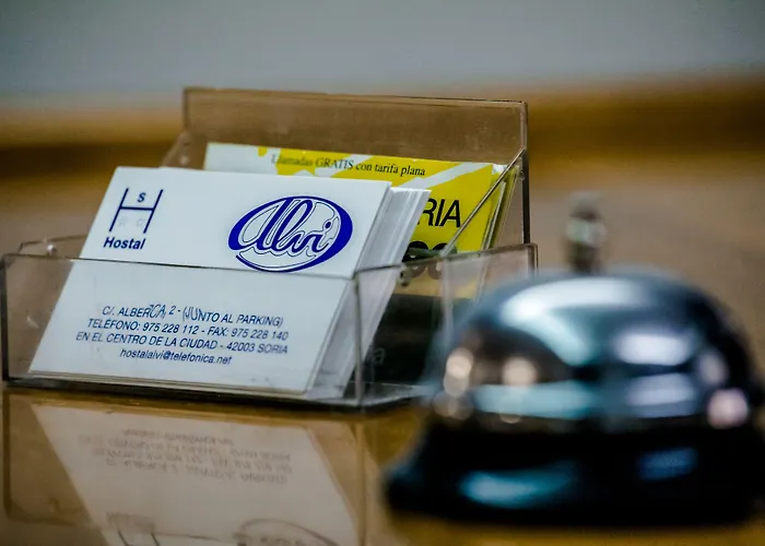 Pensjonat Alvi Soria